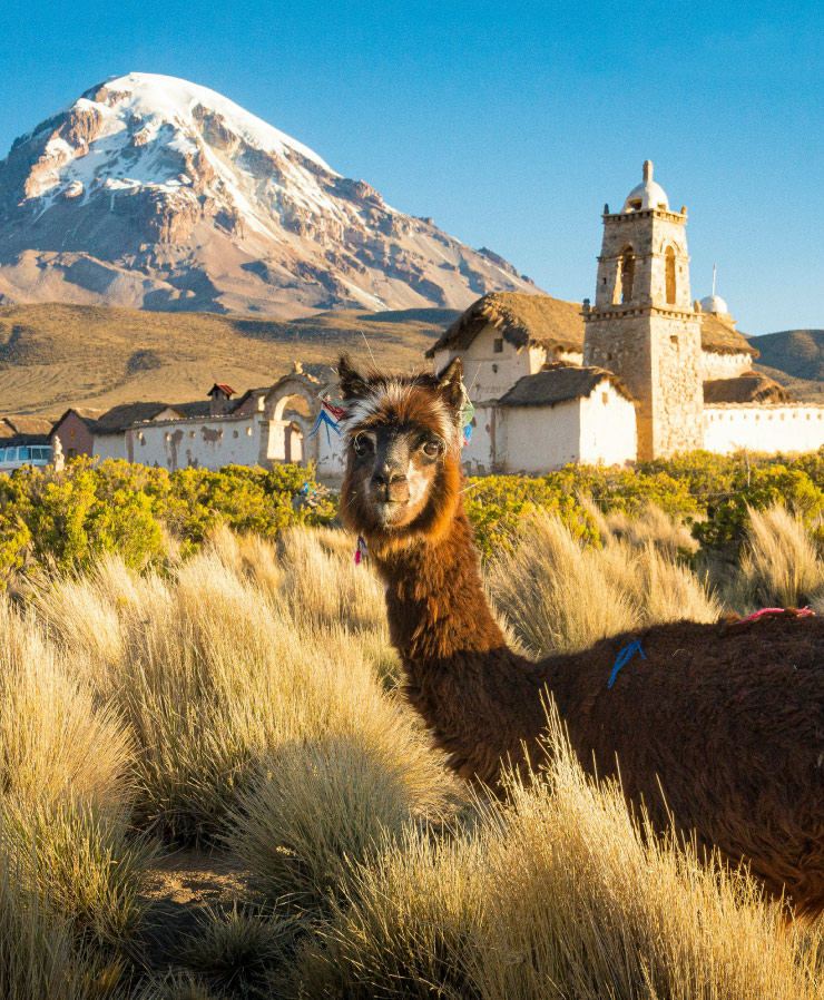 Bolivia cycling tours