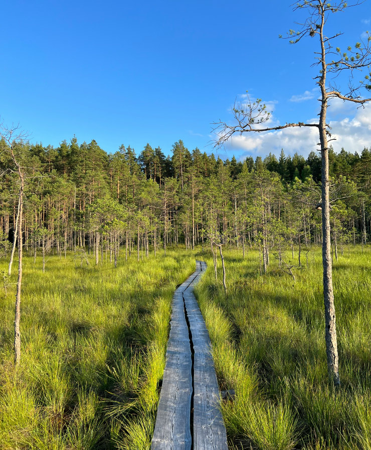 Estonia cycling tours