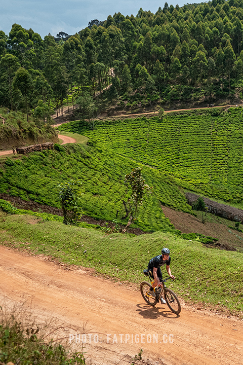 Gravel cycling tours