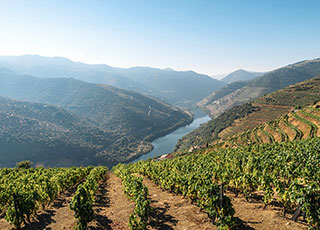 Cycling Lisbon to Porto via the Historic Interior